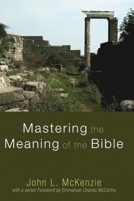 bokomslag Mastering the Meaning of the Bible