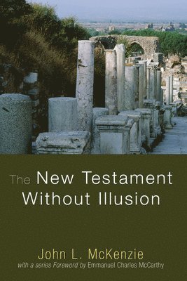bokomslag New Testament Without Illusion