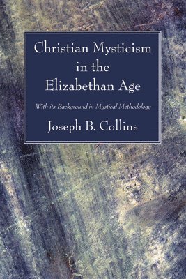 bokomslag Christian Mysticism in the Elizabethan Age