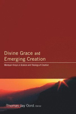 bokomslag Divine Grace and Emerging Creation