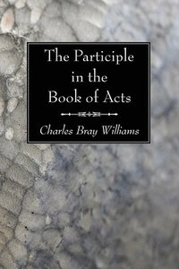 bokomslag Participle in the Book of Acts