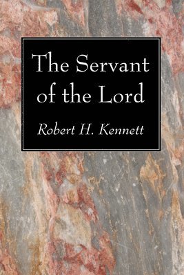 bokomslag Servant of the Lord