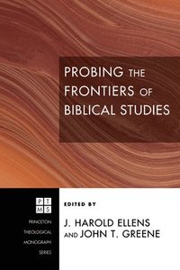 bokomslag Probing The Frontiers Of Biblical Studie