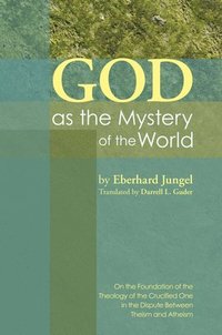 bokomslag God as the Mystery of the World