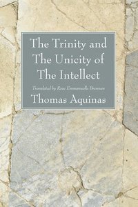 bokomslag Trinity and The Unicity of The Intellect