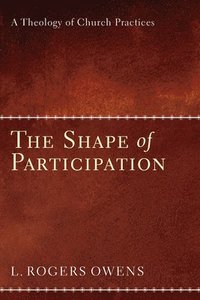 bokomslag The Shape of Participation