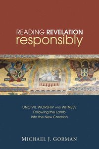 bokomslag Reading Revelation Responsibly