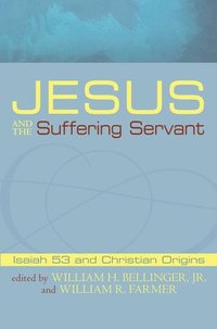 bokomslag Jesus and the Suffering Servant