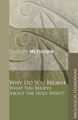 bokomslag Why Do You Believe What You Believe About the Holy Spirit?