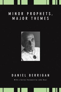 bokomslag Minor Prophets, Major Themes