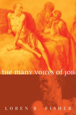 bokomslag Many Voices of Job