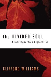 bokomslag The Divided Soul