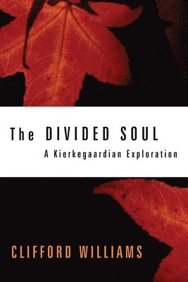bokomslag The Divided Soul