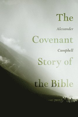 bokomslag Covenant Story of the Bible