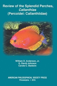 bokomslag Review of the Splendid Perches, Callanthias (Percoidei: Callanthiidae)