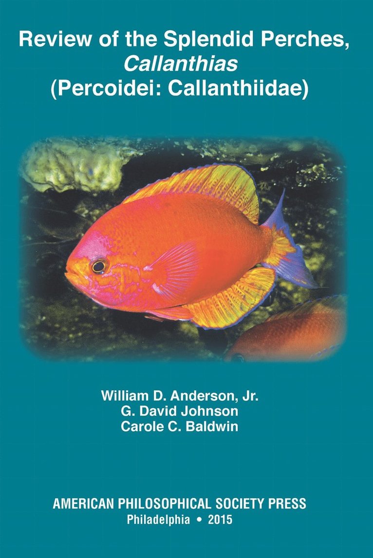 Review of the Splendid Perches, Callanthias (Percoidei: Callanthiidae)