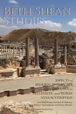 bokomslag Beth Shean Studies