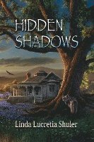 bokomslag Hidden Shadows