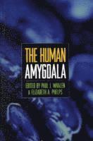bokomslag The Human Amygdala