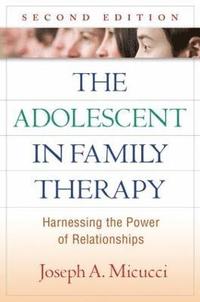 bokomslag The Adolescent in Family Therapy, Second Edition