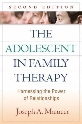 bokomslag Adolescent in Family Therapy, Second Edition