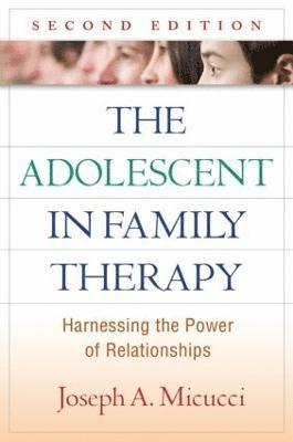 bokomslag The Adolescent in Family Therapy, Second Edition