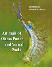 bokomslag Animals Of Ohio's Ponds and Vernal Pools