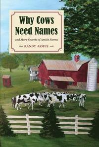 bokomslag Why Cows Need Names And More Secrets of Amish Farms