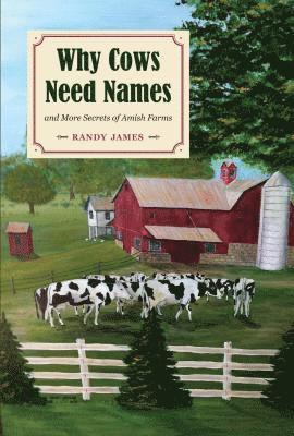 Why Cows Need Names And More Secrets of Amish Farms 1