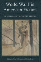 bokomslag World War I in American Fiction