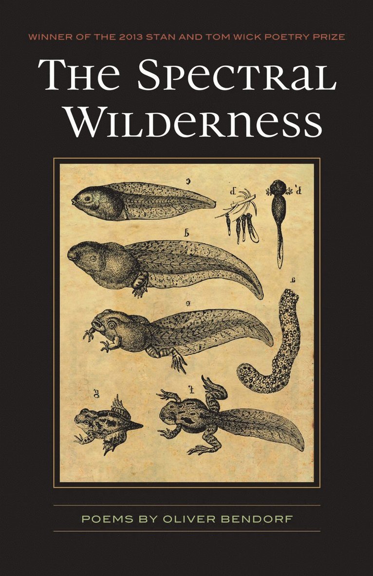 Spectral Wilderness