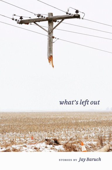 Jay Baruch - What's Left Out, Häftad