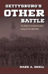 bokomslag Gettysburgs Other Battle