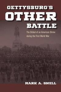 bokomslag Gettysburg's Other Battle