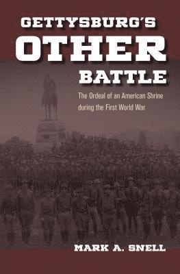 bokomslag Gettysburg's Other Battle
