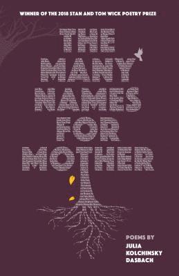 bokomslag The Many Names for Mother