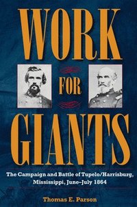 bokomslag Work for Giants