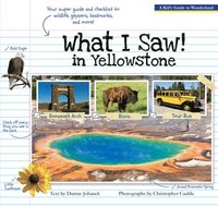 bokomslag What I Saw in Yellowstone