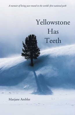 Yellowstone Has Teeth 1