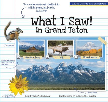 What I Saw In Grand Teton 1