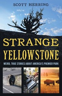 bokomslag Strange Yellowstone