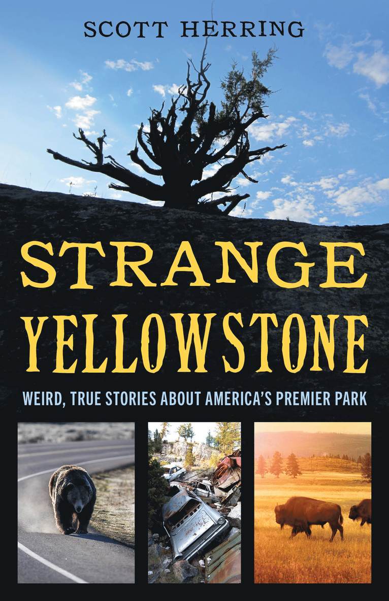 Scott Herring - Strange Yellowstone, Häftad