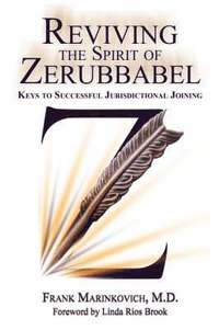 bokomslag Reviving the Spirit of Zerubbabel