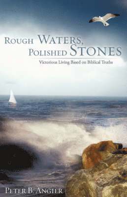 bokomslag Rough Waters, Polished Stones