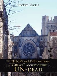 bokomslag THEorY of LIVEvolution