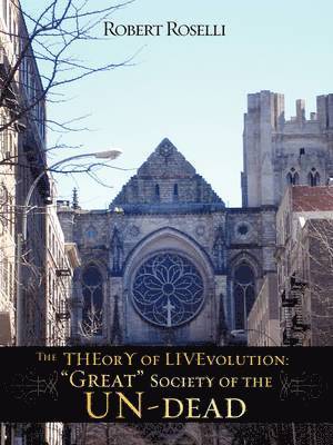 bokomslag THEorY of LIVEvolution