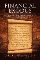 bokomslag Financial Exodus