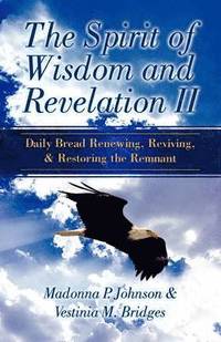 bokomslag The Spirit of Wisdom and Revelation II