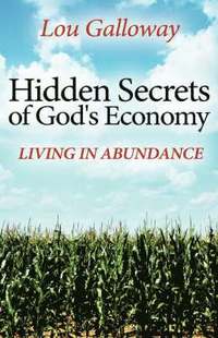 bokomslag Hidden Secrets of God's Economy