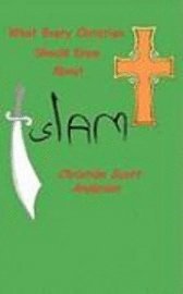 bokomslag What Every Christian Should Know About Islam